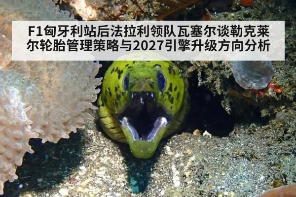 F1匈牙利站后法拉利领队瓦塞尔谈勒克莱尔轮胎管理策略与2027引擎升级方向分析